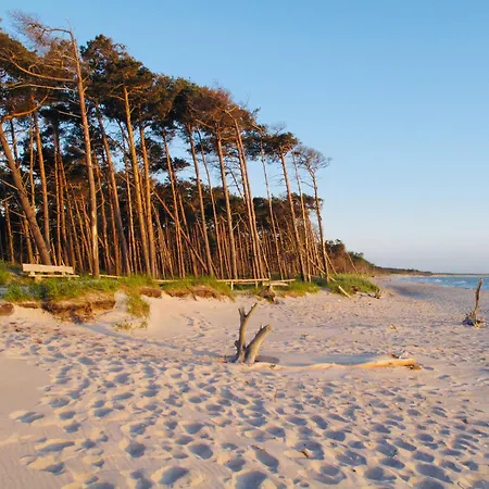 12 - Halbinsel Darss - Ostsee Apartment *