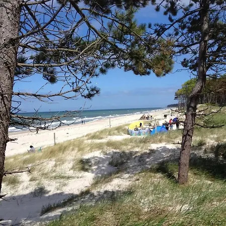 12 - Halbinsel Darss - Ostsee * Wieck